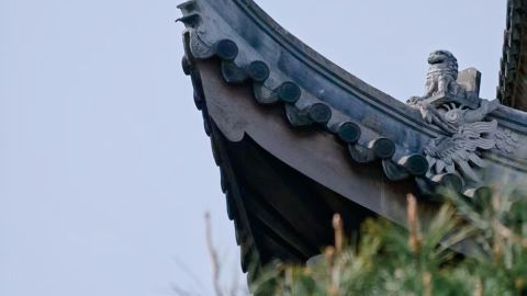 Japanese Style - Fresh Series 1