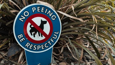 Subtle Brown and Orange Tint with Dark Contrast