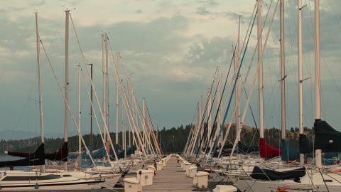 Green Contrast Cinematic