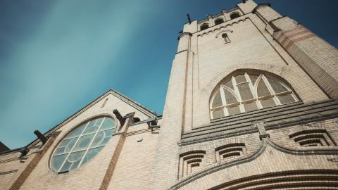 Warm Vibrant Tones with Low Contrast