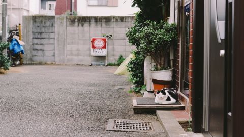 Kodak Portra 400 VC 4++