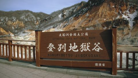 Cool-Toned Project Promo