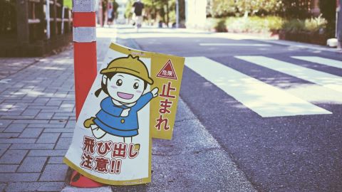 Polaroid 669 5++3 - Vintage Film Emulation LUT for Universal Camera Support