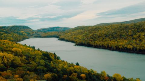 Kodak Chrome D - Universal Camera Support