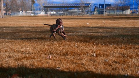 Atomic Orange Sky: A Cinematic LUT for Universal Cameras