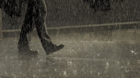 Green 2025: Universal Cinematic LUT