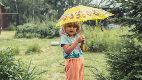 Universal Cool Tone Correction for Film