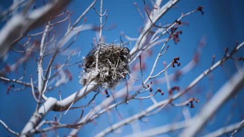 Vintage Desaturated Dark Blue