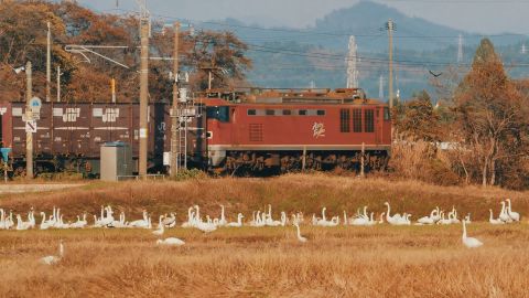 Old Town Cultural Film Look