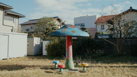 Anshi Cyan-Green Cinematic Low Saturation