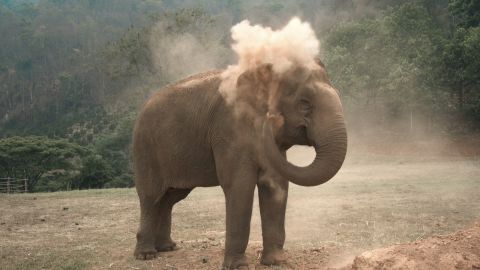 Western Minimalist Life: Low Saturation Warm Tones