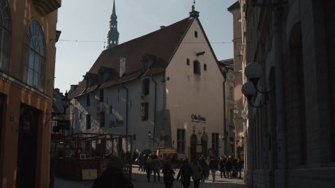 Silver Halide Gray-Tone Film