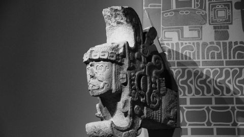 Fujifilm ACROS: Universal Camera Support for Fuji Simulation