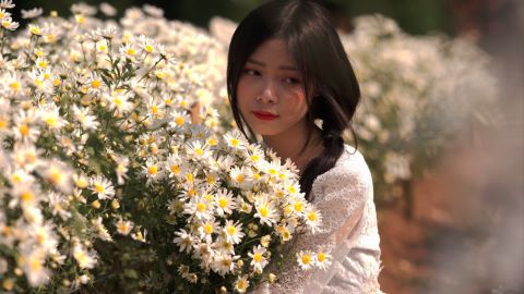 Fuji Provia 400X - Universal Cinematic Portrait LUT