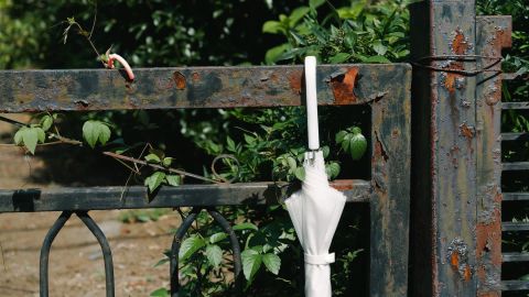 Kodak Portra 160 3+ Universal Camera LUT