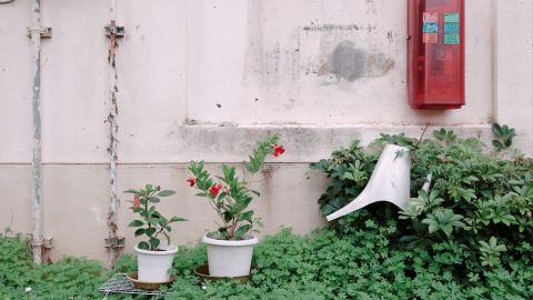 Kodak Kodachrome 200 - Universal Camera Support