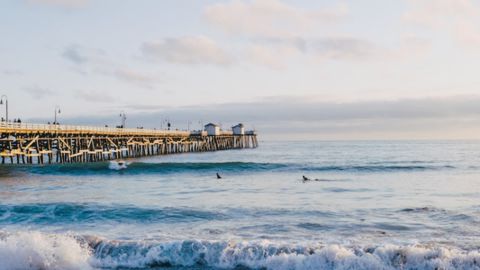 Portrait 400Nc - Universal Cinematic Look