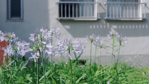 Kodak Ektar 100 - Universal Camera Support