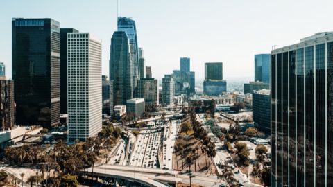 Vintage Shadow Dreamscape