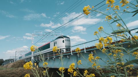 Vibrant Blue & Gold Government Promo