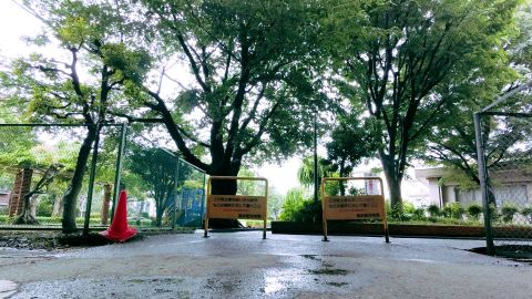 Polaroid 690 Cold 1-15: Vintage Film Emulation with Universal Camera Support