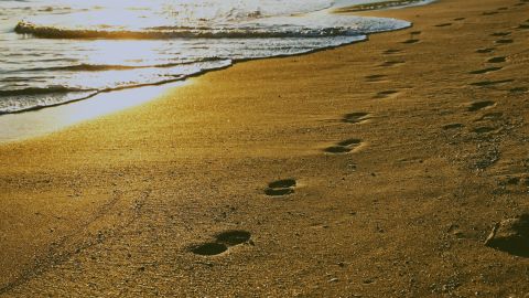 Deep Teal & Orange Vintage