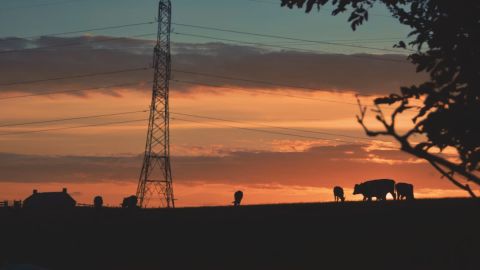 Alleyway Street Snap: Cool Cyan Haze