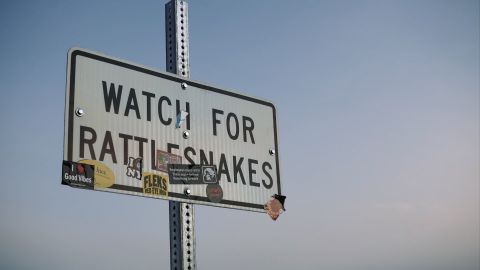 Inspired by Kodak Vision3 5207