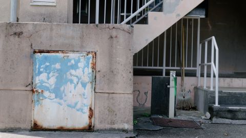 Kodak Portra 160 - Universal Camera Support