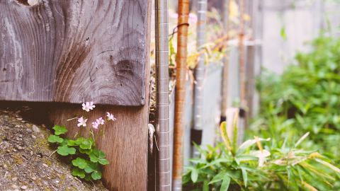 Polaroid 690 Warm +23: Vintage Film Emulation LUT