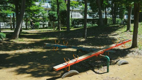 Kodak Portra 800 3+ Universal Camera LUT