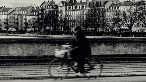 Vintage Gray Tones: Classic Film Noir