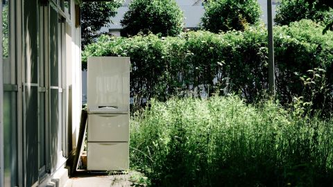 Kodak Portra 400 NC 1 - Universal Camera Support