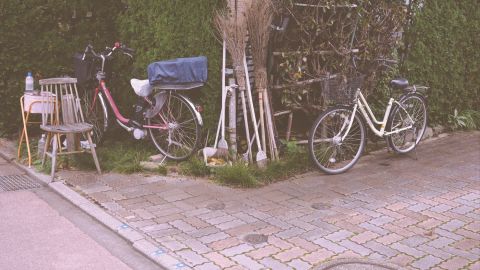 Polaroid 690 5++14 - Vintage Film Emulation LUT for Universal Camera Support