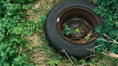 Fuji Classic Negative Emulation