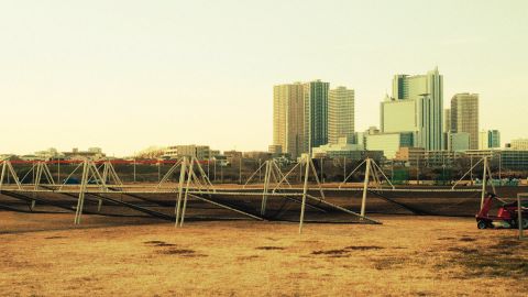 Golden-Green High Contrast Cinematic