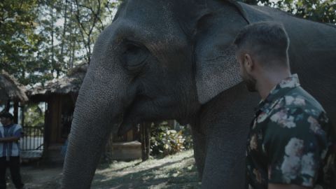 Pale Soft Light Realm