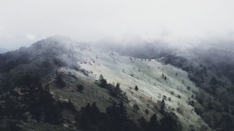 Bleu Bozen: A Universal Cinematic LUT for Cool, Low-Contrast Portraits and Landscapes