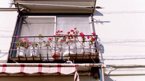 Polaroid 690 Warm 1-20: Vintage Film Emulation LUT for Universal Camera Support