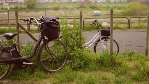 Vintage Amber Film: Warm Low-Contrast Cinematic LUT with Orange-Teal Tones