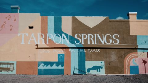 Dual-Tone: Mint Green and Vivid Cyan