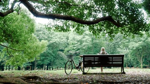 Kodak Portra 400 - Universal Camera Support