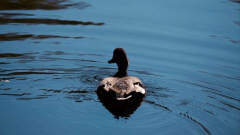 Warm Cinematic Look with Magenta Ambiance
