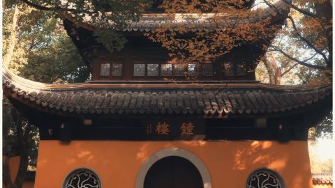 Kodak 5219 Warm - Vintage Film LUT with High Saturation and Universal Camera Support