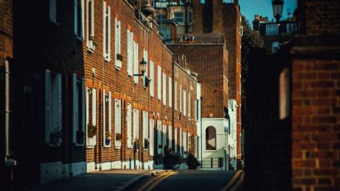 Vision 4 Standard Cinematic Baseline