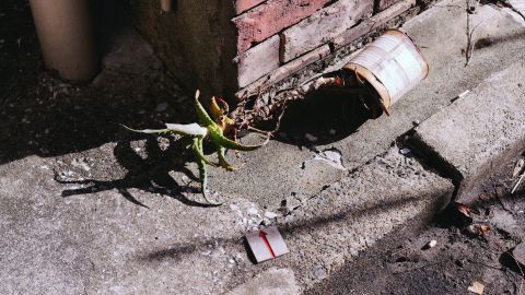 Polaroid 690 312: Vintage Film Emulation LUT for Universal Camera Support