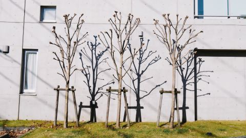 Kodak Portra 160 NC 4++