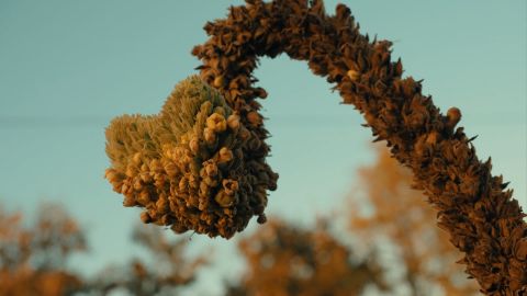 Ultra Warm Atmosphere