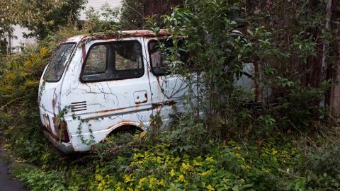 Kodak Elite Color 200 - Universal Camera Support